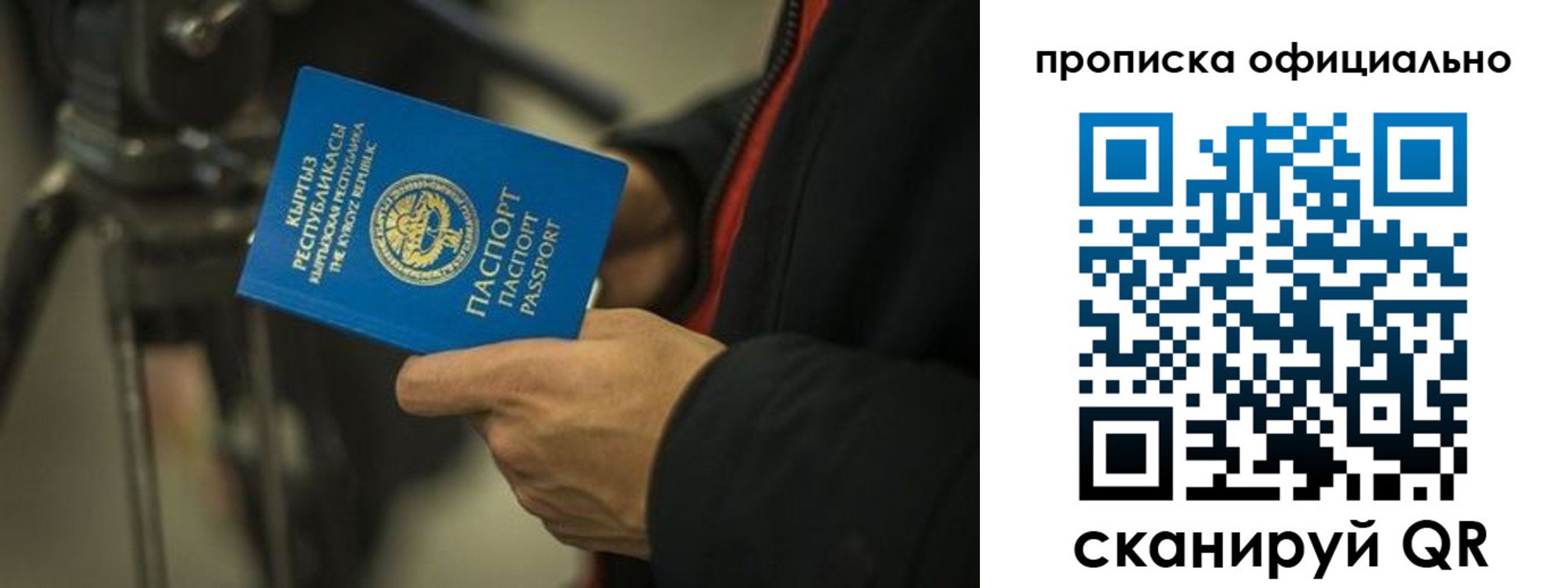 прописка в Лодейном Поле